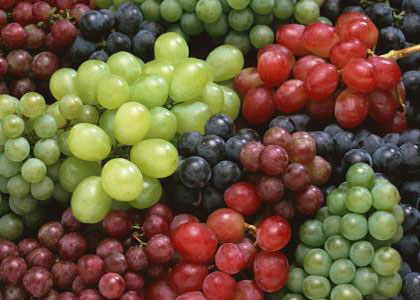 秋天不妨多吃点葡萄有助于身体健康